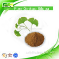 Health Food Pure Ginkgo Biloba Extract Powder